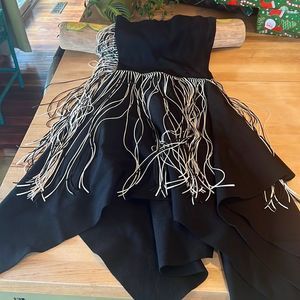 Zara Fringe fit and flair dress